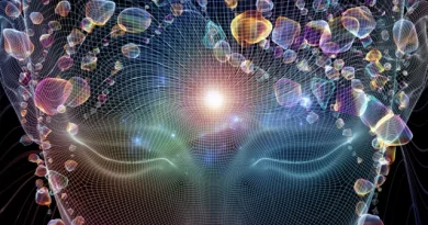 FISICA QUANTISTICA THE SECRET